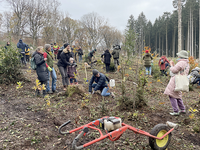 Pflanzaktion im Aachener Wald
